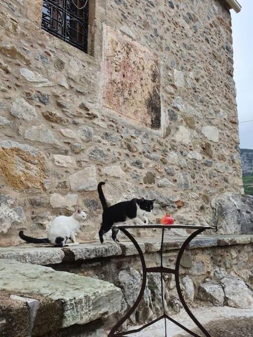A Small Paradise In Mani With Local Hospitality Orovas Exterior foto